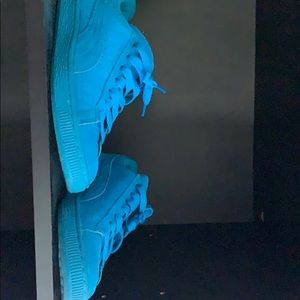 blue pumas